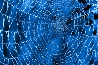 © Oleksii Sagitov - Fotolia.com
